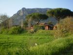 Honeymoon in Italy