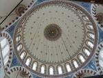 P1000091.JPG
