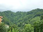 Day 6 Rize To Ayder