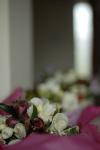 -ruth_mark at beaumanor hall-film1-020.JPG